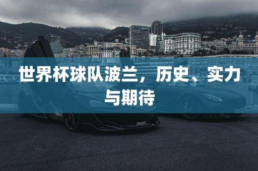 世界杯球队波兰，历史、实力与期待