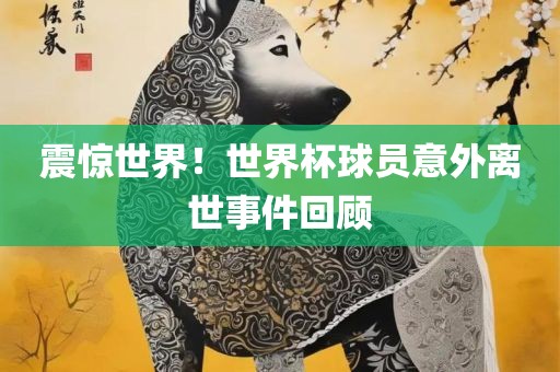 震惊世界！世界杯球员意外离世事件回顾