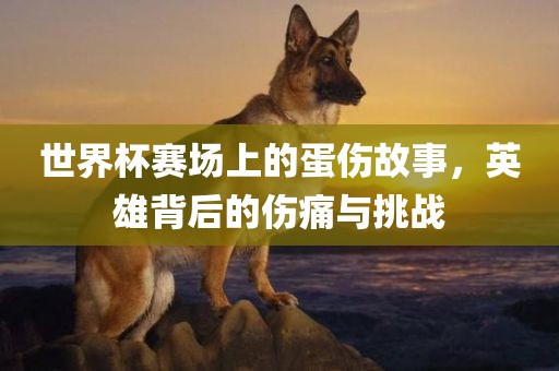 世界杯赛场上的蛋伤故事，英雄背后的伤痛与挑战