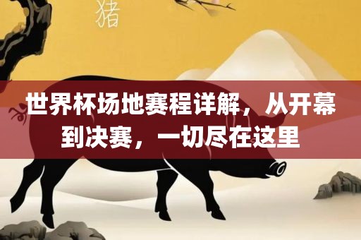 世界杯场地赛程详解，从开幕到决赛，一切尽在这里