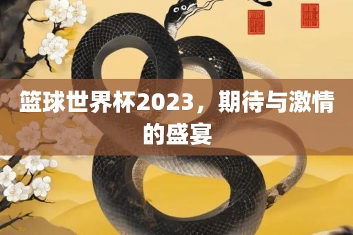 篮球世界杯2023，期待与激情的盛宴