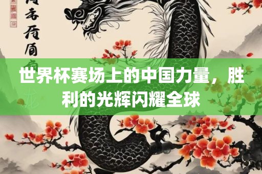 世界杯赛场上的中国力量，胜利的光辉闪耀全球