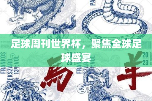 足球周刊世界杯，聚焦全球足球盛宴眉山市正发家政服务有限公司