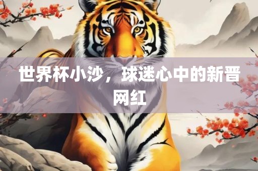 世界杯小沙，球迷心中的新晋网红眉山市正发家政服务有限公司