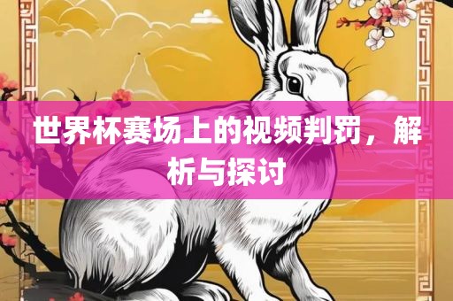 世界杯赛场上的视频判罚，解析与探讨眉山市正发家政服务有限公司