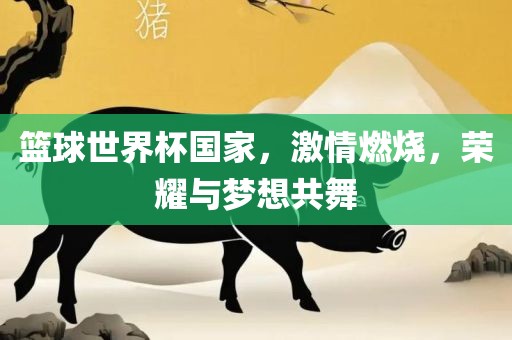 篮球世界杯 第2页