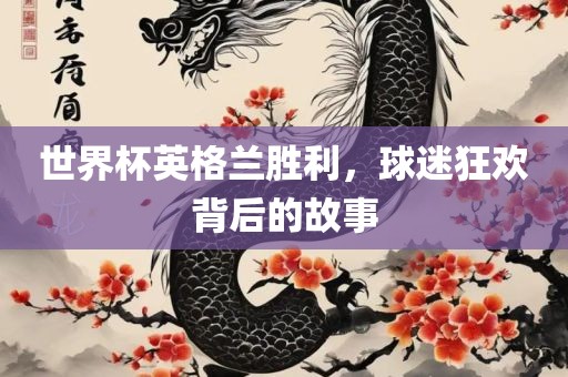 世界杯英格兰胜利，球迷狂欢背后的故事眉山市正发家政服务有限公司