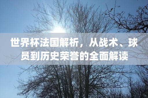 世界杯法国解析，从战术、球员到历史荣誉的全面解读