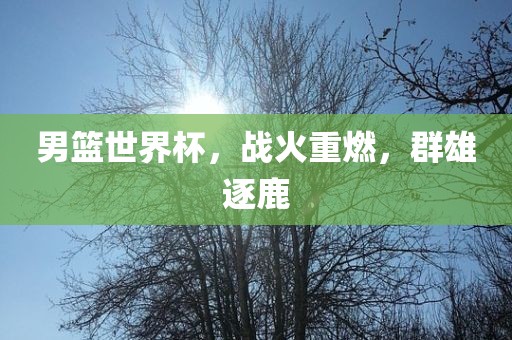 男篮世界杯，战火重燃，群雄逐鹿