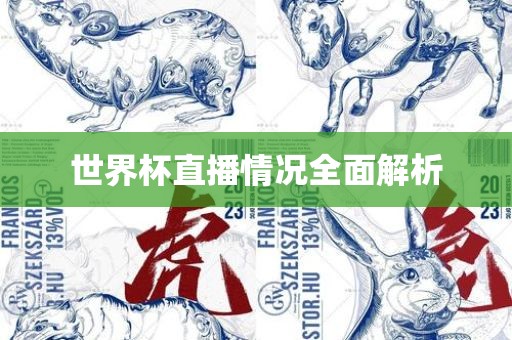 世界杯直播情眉山市正发家政服务有限公司况全面解析