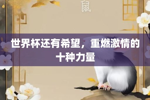 世界杯还有希望，重燃激情的十种力量眉山市正发家政服务有限公司
