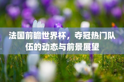 法国前瞻世界杯，夺冠热门队伍的动态与前景展望