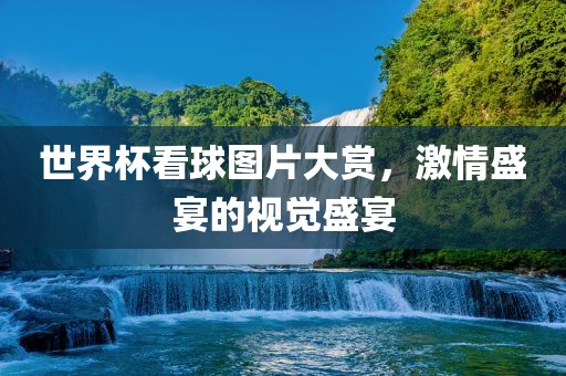 世界杯看球图片大赏，激情盛宴的视觉盛宴