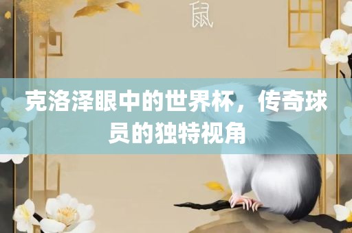 克洛泽眼中的世界杯眉山市正发家政服务有限公司，传奇球员的独特视角