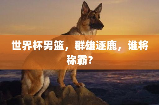 世界杯男篮，群雄逐鹿，谁将称霸？