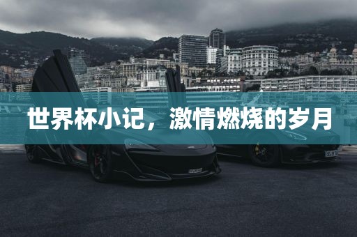 世界杯小记，激情燃烧的岁月