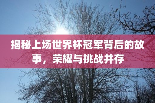 揭秘上场世界杯冠军背后的故事，荣耀与挑战并存