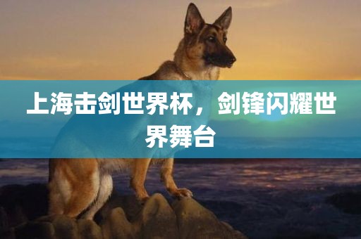 上海击剑世界杯，剑锋闪耀世界舞台