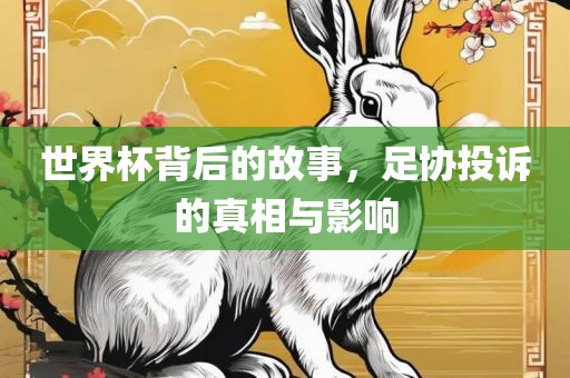 世界杯背后的故事，足协投诉的真相与影响