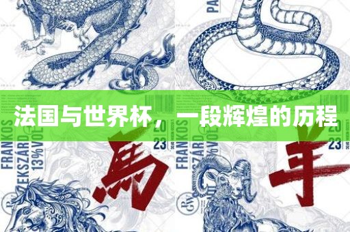 法国与世界杯，一段辉煌的历程