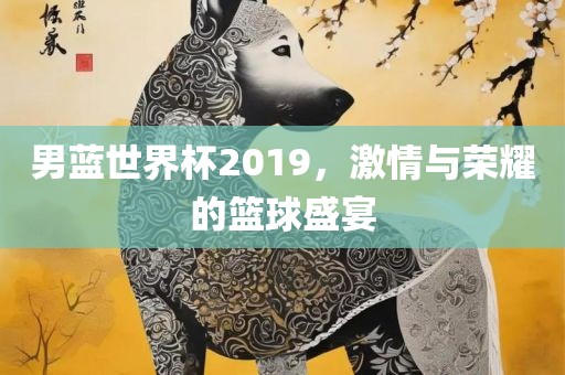 男蓝世界杯2019，激情与荣耀的篮球盛宴