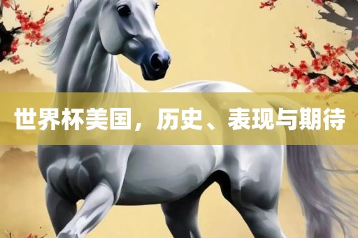 世界杯美国，历史、表现与期待