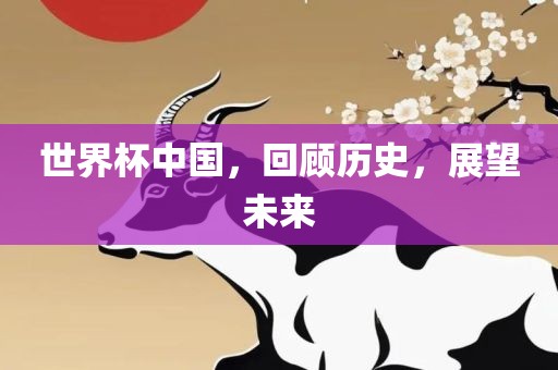 世界杯中国，回顾历史，展望未来